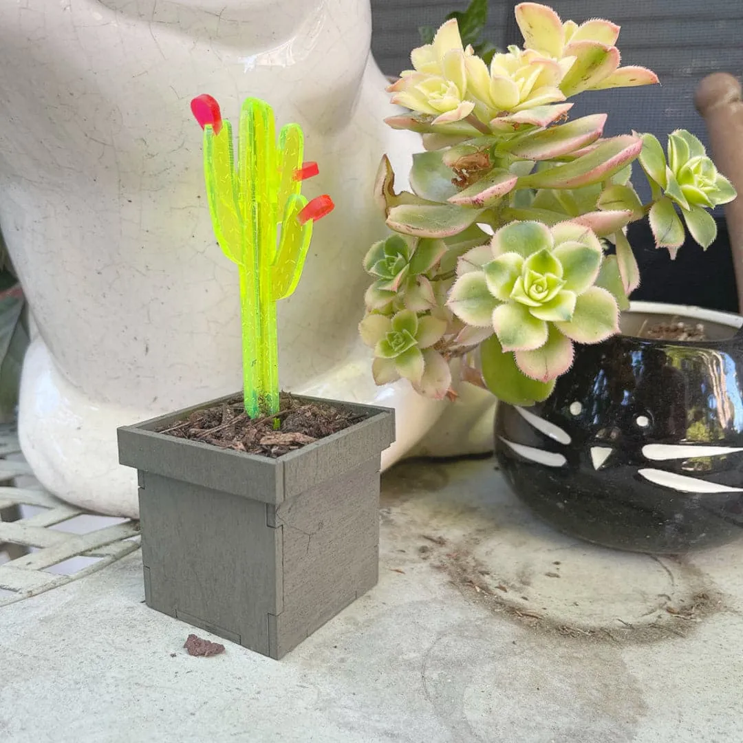 Faux Cactus with Box Planter - SVG File