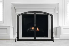 Free Standing Fireplace Screen Two Panel Indoor Living Room Flat Steel Black