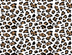 Leopard Sleeve Without Background DTF
