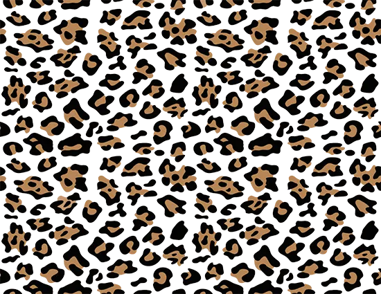Leopard Sleeve Without Background DTF